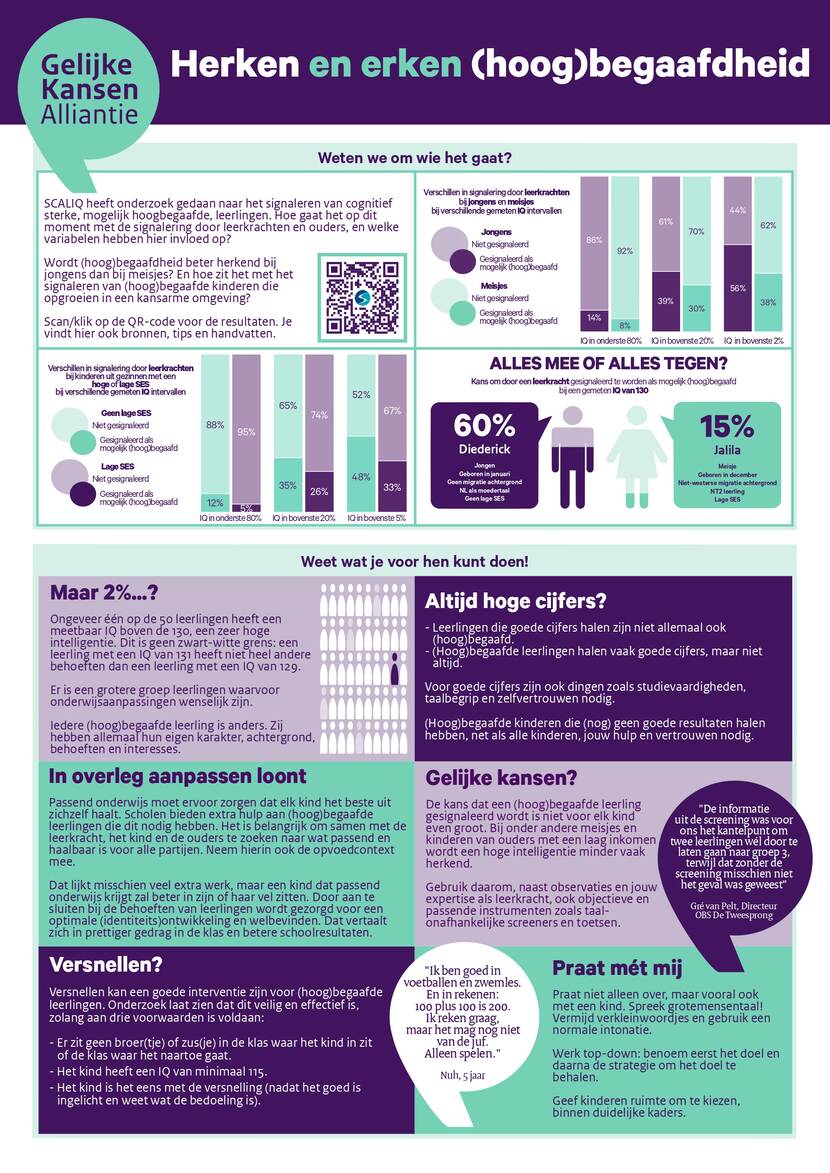 Infographic Hoogbegaafdheid